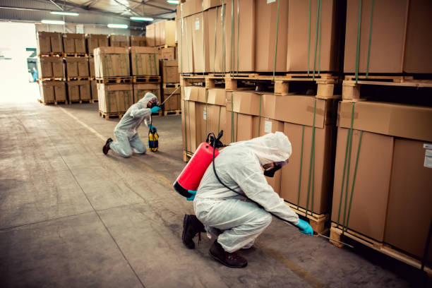 Best Wasp Removal Services  in West Linn, OR