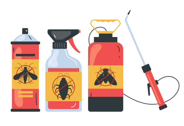 Best Termite Control Services  in West Linn, OR