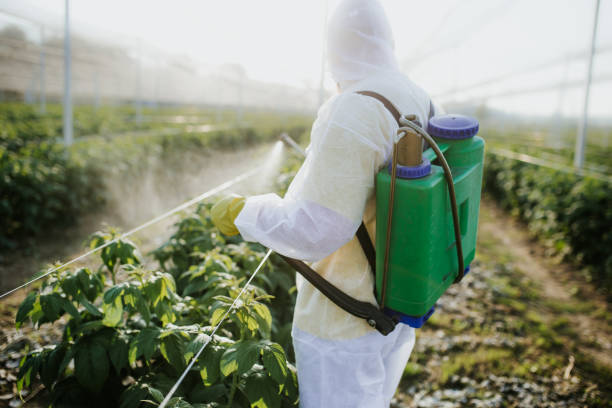 Best Best Pest Control Companies  in West Linn, OR